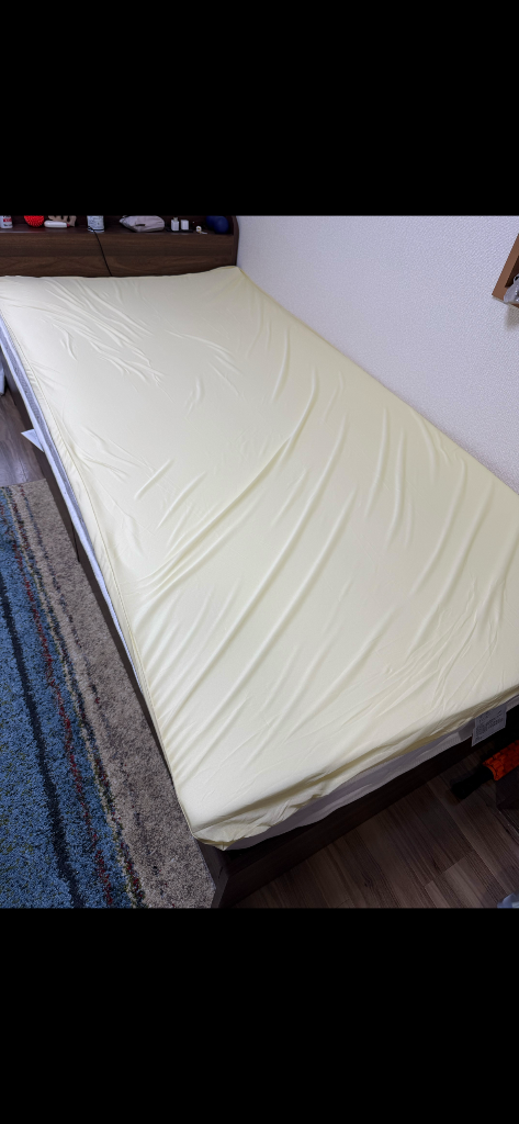 トゥルースリーパー 新品 アウトレット 訳あり特価（箱痛み