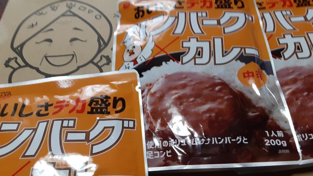 ご飯のお供 訳あり 国産鶏ハンバーグカレー 4袋 中辛 レトルトカレー 長期保存 食品 送料無料 得トクセール お取り寄せ 1000円 オープン記念  a1 :cr-hg-04:九州からの贈り物 ヤフー店 - 通販 - Yahoo!ショッピング