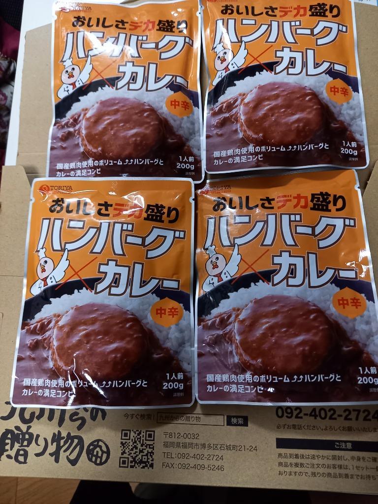 ご飯のお供 訳あり 国産鶏ハンバーグカレー 4袋 中辛 レトルトカレー 長期保存 食品 送料無料 得トクセール お取り寄せ 1000円 オープン記念  a1 :cr-hg-04:九州からの贈り物 ヤフー店 - 通販 - Yahoo!ショッピング