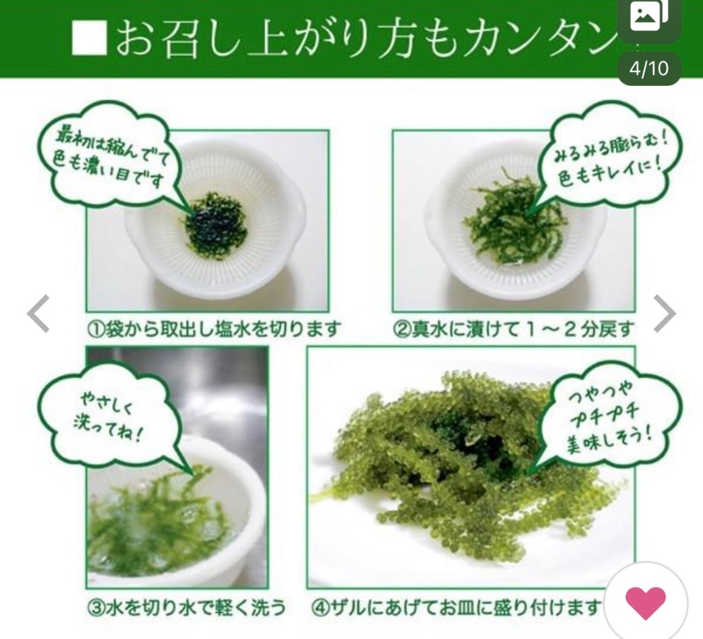 産地直送 海ぶどう(茎付き)50g×2袋 沖縄の海の宝 プチプチ食感 沖縄県産 エコ包装 塩水漬け 海藻 おつまみ 海ブドウ 食品 食べきり 土産  1000円 送料無料 : umibu02-np : 九州からの贈り物 ヤフー店 - 通販 - Yahoo!ショッピング