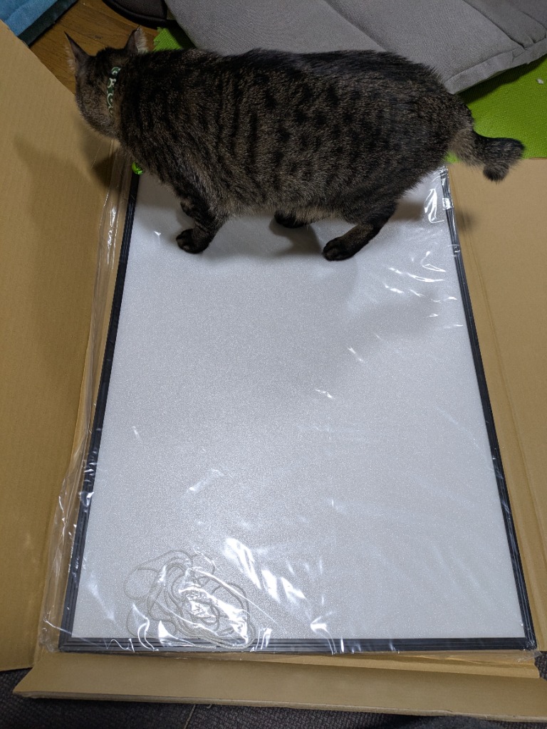 レビュー画像