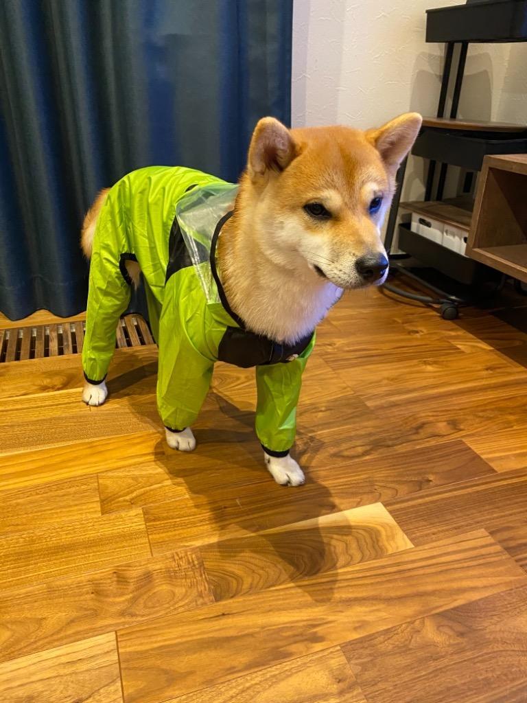 レビュー画像
