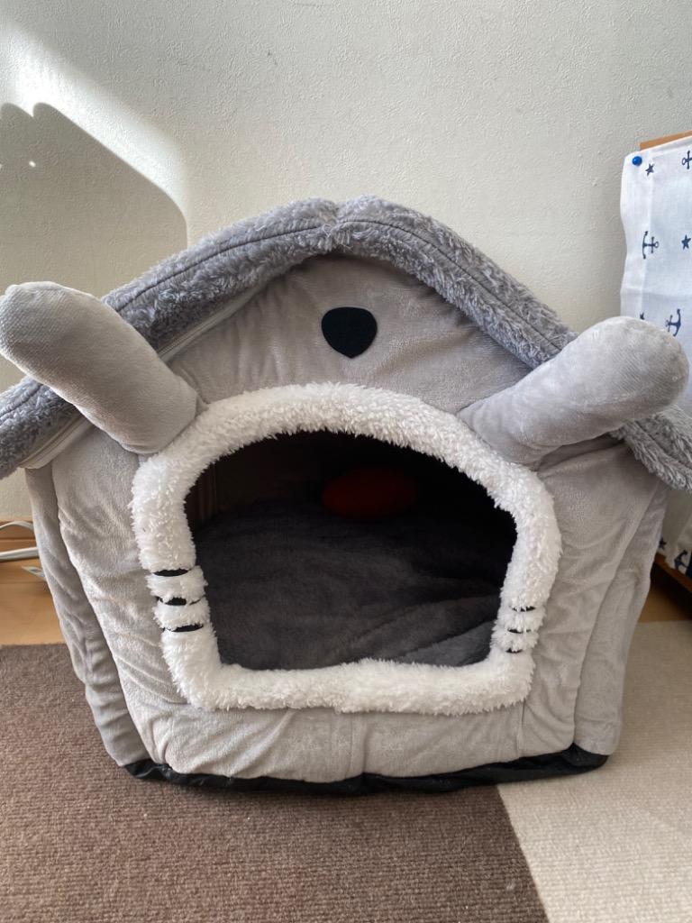 レビュー画像