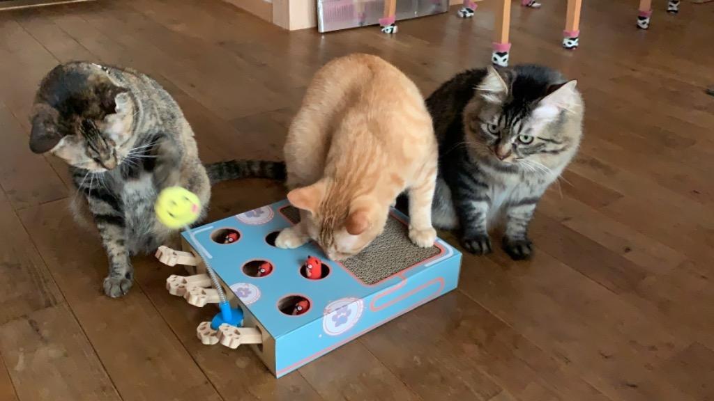 1件目のレビュー画像 | 0