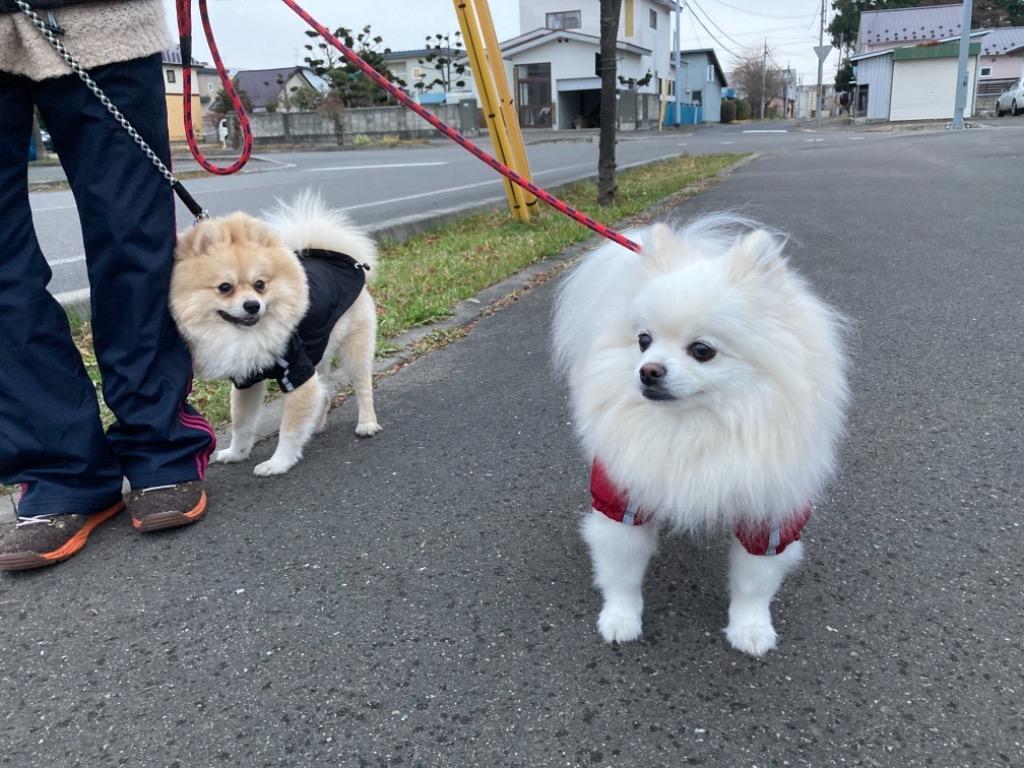 全体のレビュー画像 | 1-0