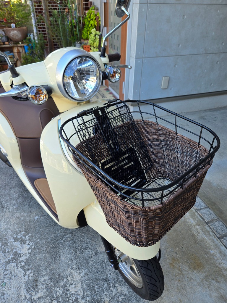 青島　ビカクシダ着生用バスケット 3Dプリンタ製バスケット　6個セット 青島様専用 ビカクシダ着生用バスケット 3Dプリンタ製バスケット