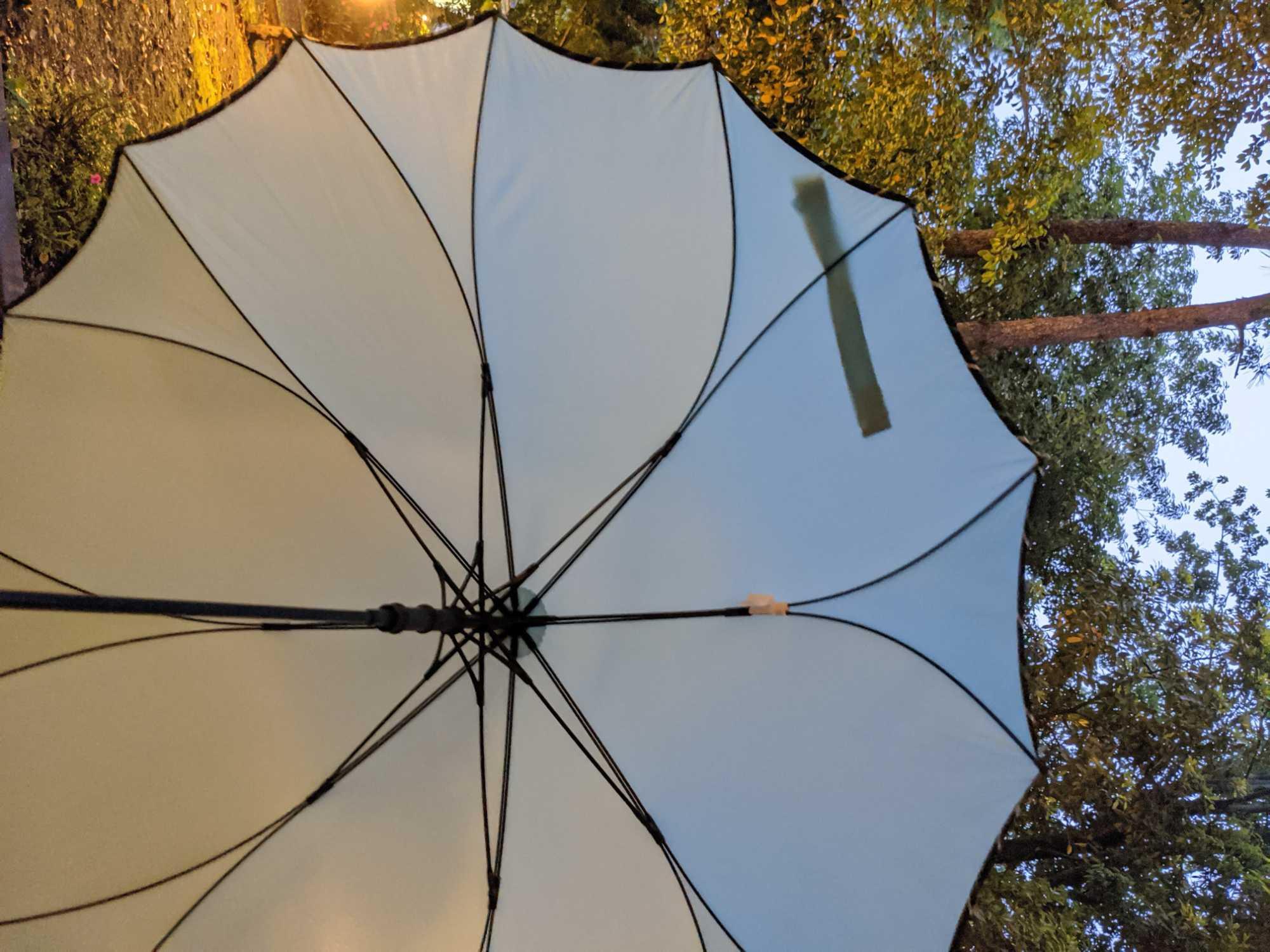 GUESS レディース用雨傘(60cm)未使用品 COMMON WARE 傘 NT:60cmぬれないンブレラ 長傘 レディース