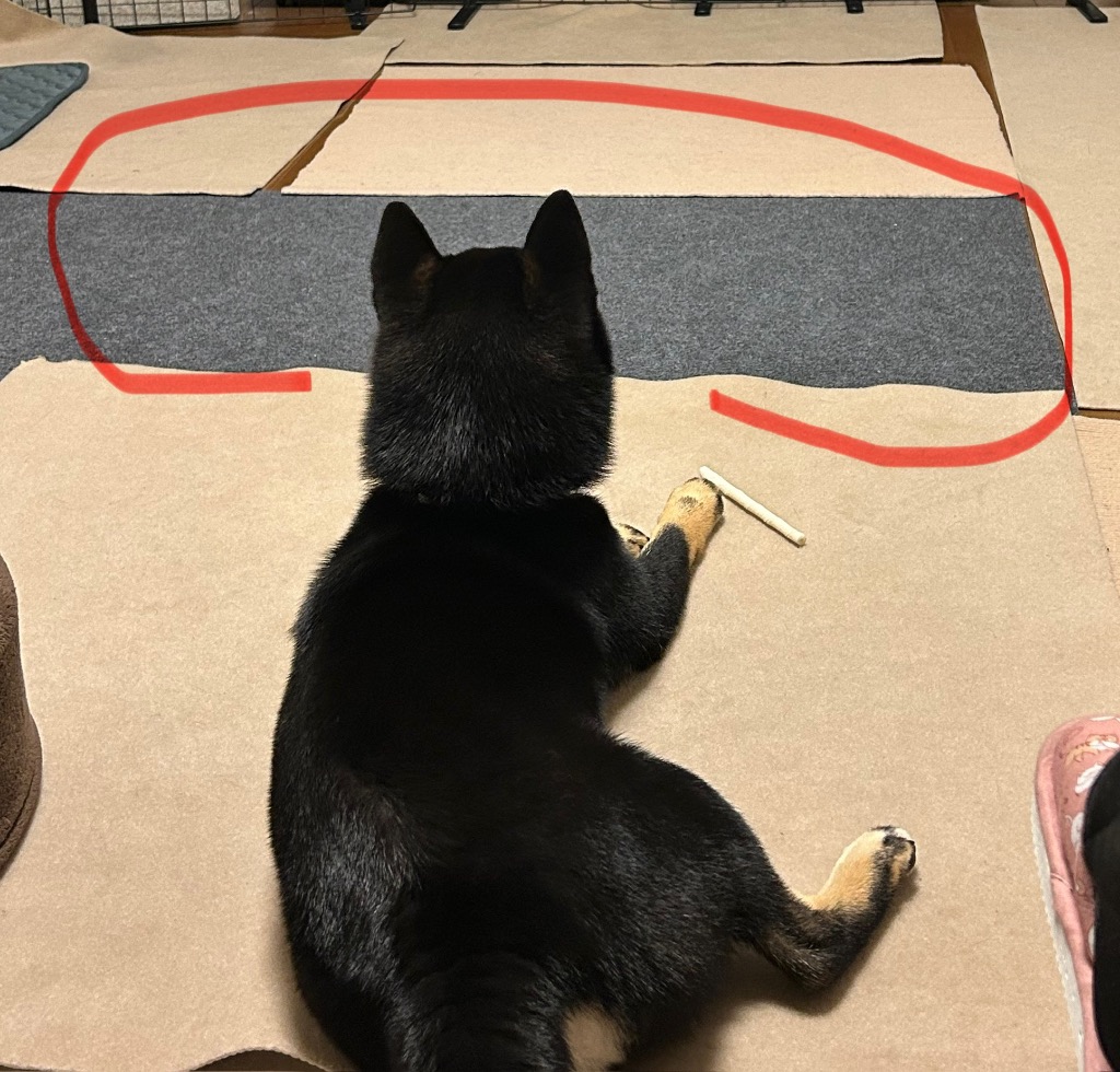 レビュー画像