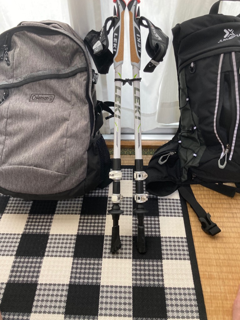 正規品】レキ トラベラーショートTS2 LEKI 1300333 57-110cm