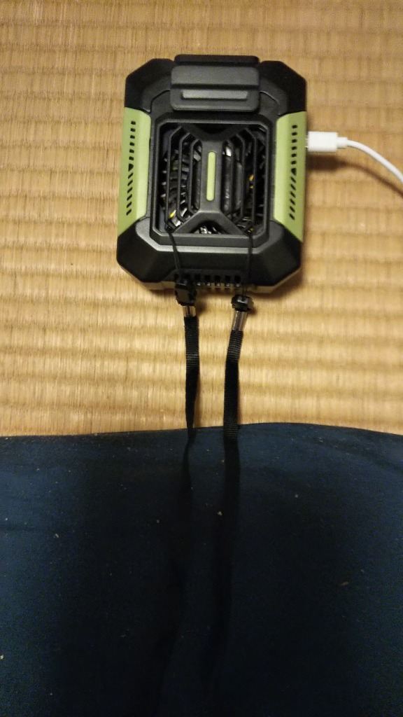 レビュー画像