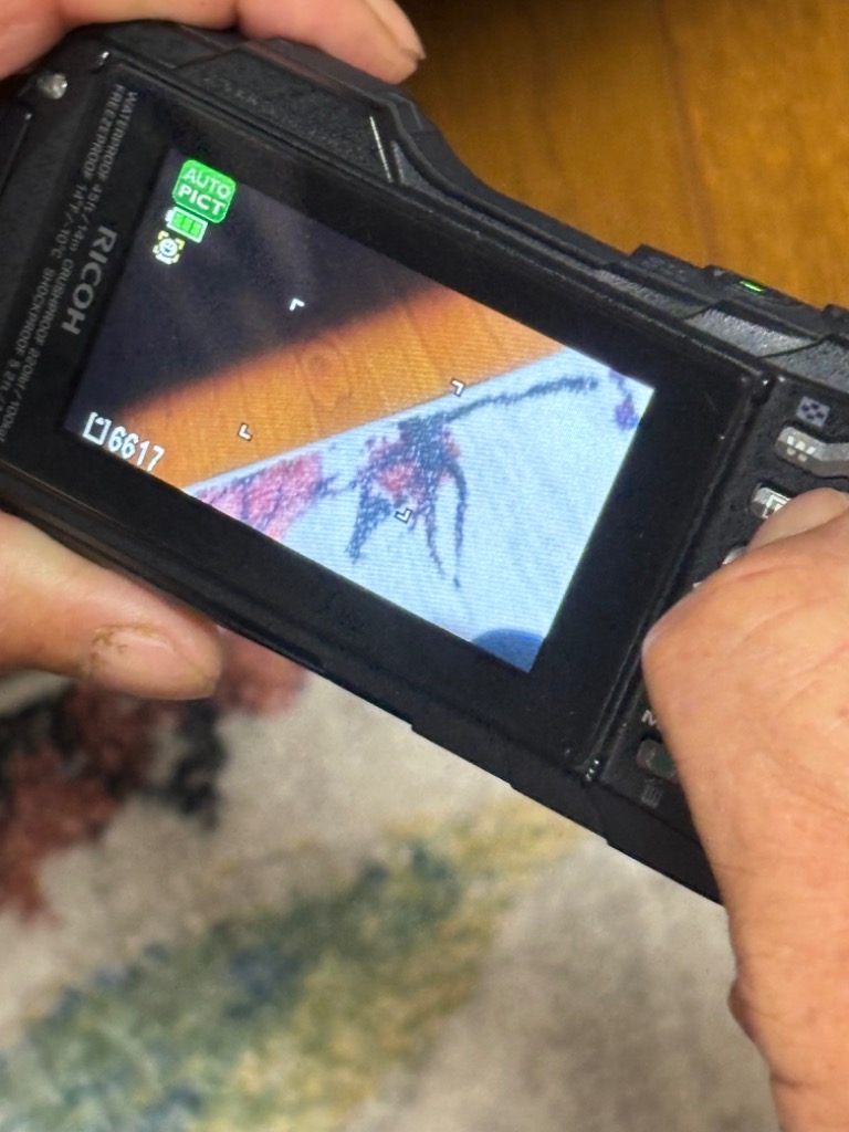 リコー コンパクトデジタルカメラ RICOH WG-50 ブラック 水深14m リコー コンパクトデジタルカメラ RICOH WG-50 ブラック 水深14m