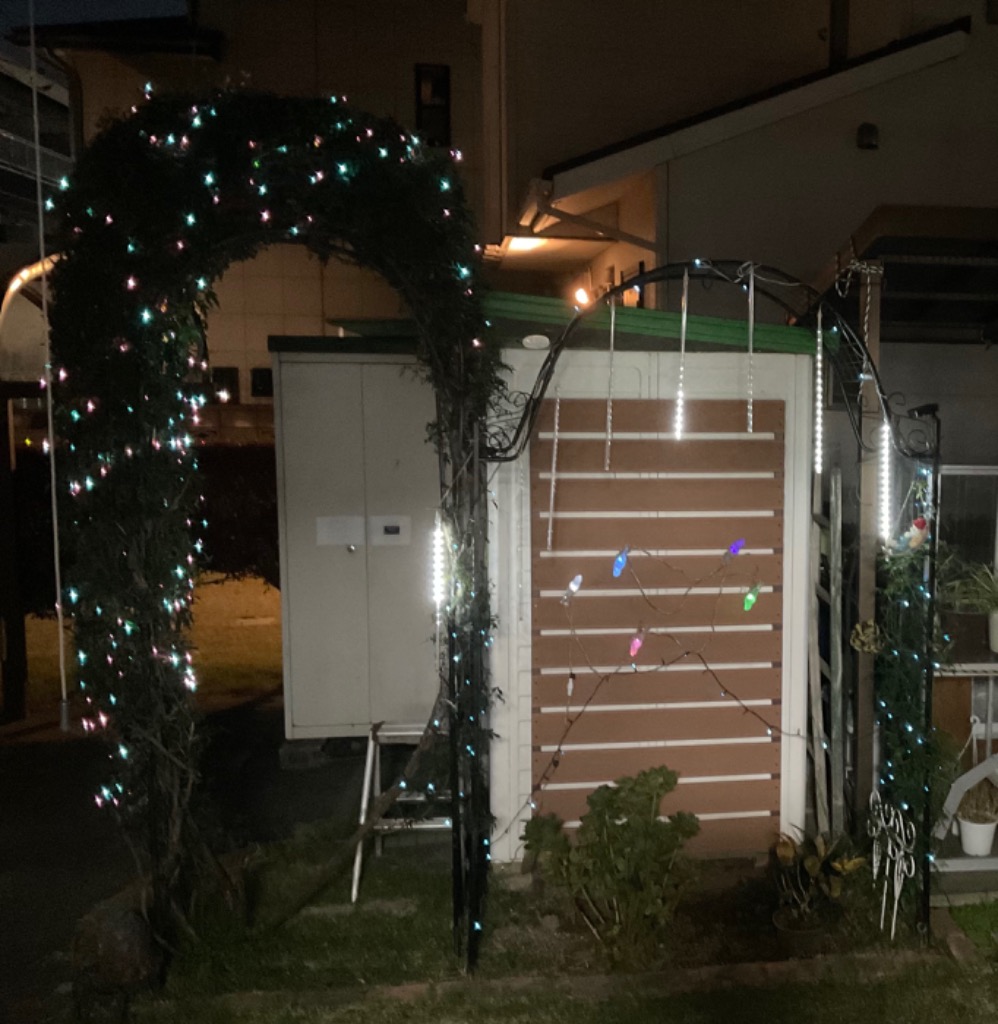 レビュー画像