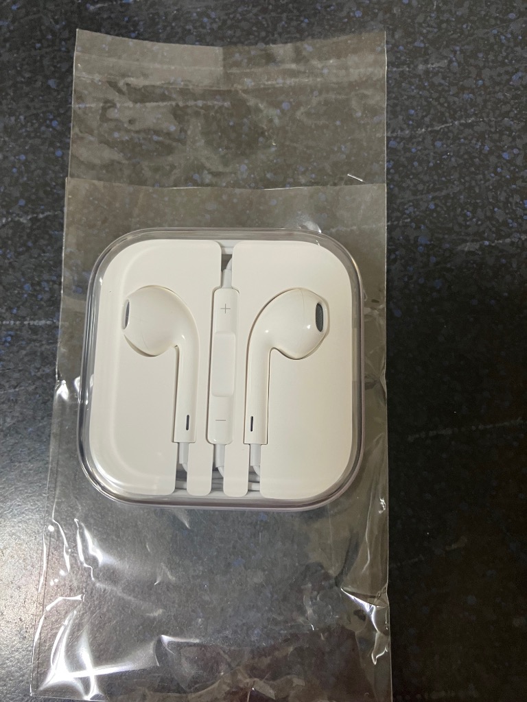 アップル イヤホン Genuine Apple AirPods Pro (1st Gen) Replacement Parts Right