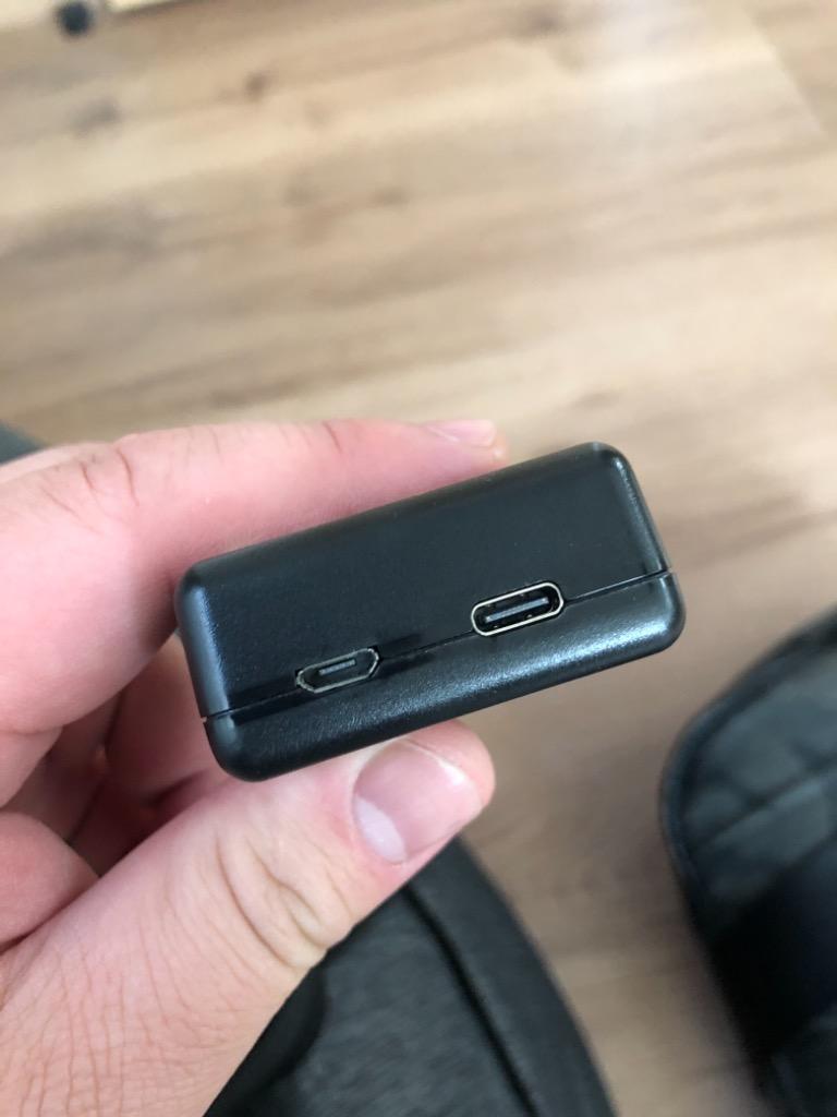 送料無料 GoPro HERO9 USBamp;Type-C入力充電器 2個同時充電 バッテリーチャージャー 対応 バッテリー用充電器