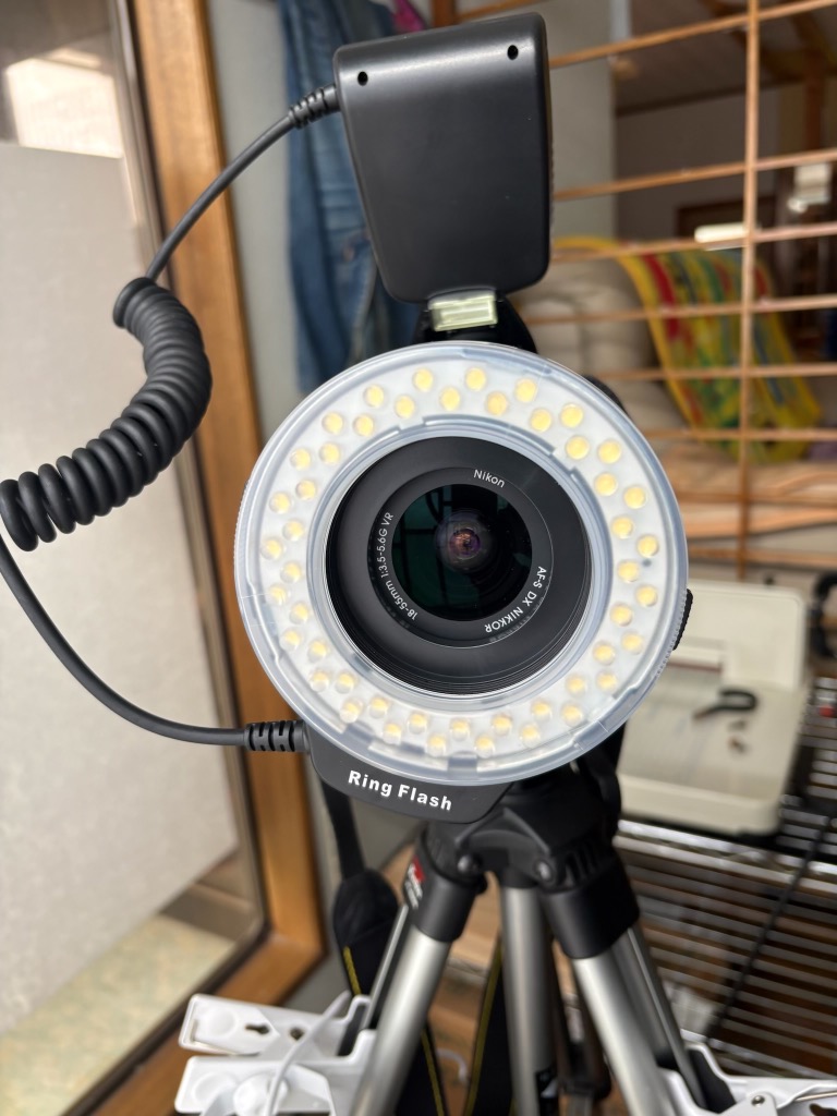 カメラ 一眼レンズカメラ用 接写専用ストロボ LED 48球 マクロ