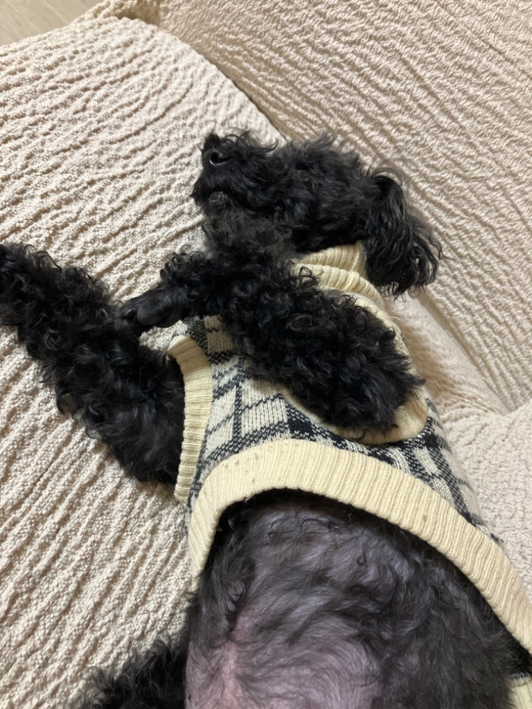 6件目のレビュー画像 | 0