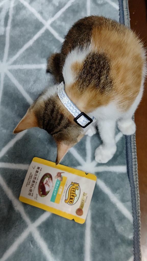 35g×12袋】ニュートロ デイリー ディッシュ 子猫用 チキンツナ なめらかなムースタイプ パウチ(猫・キャット)[正規品]  :lot0212nu:ペモス - 通販 - Yahoo!ショッピング