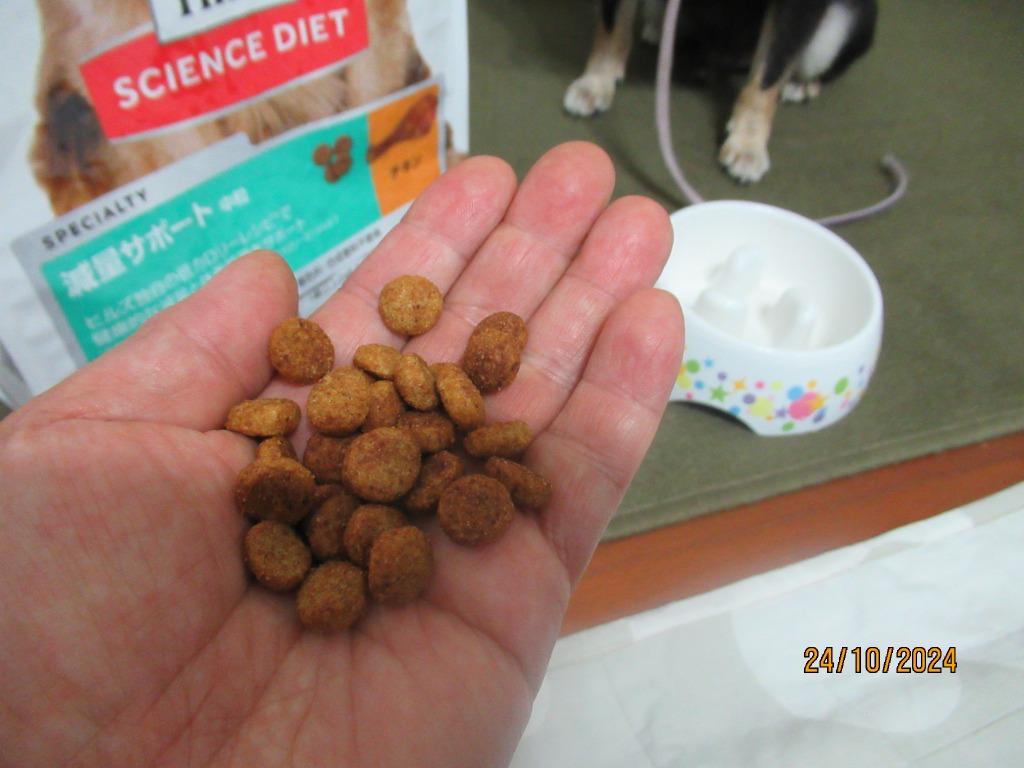 サイエンス・ダイエット 【5kg×2袋】ヒルズ 減量サポート 中粒 1