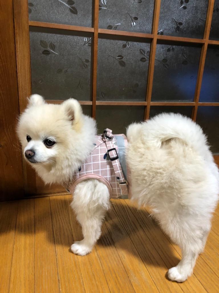 2件目のレビュー画像 | 0