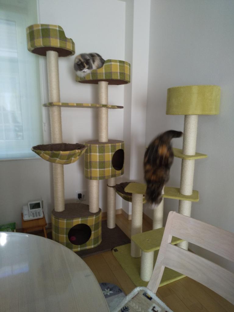 1件目のレビュー画像 | 0