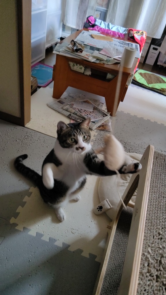 にゃごみ処　またたび入り猫キッカークレープ　ねこ おもちゃ 蹴りぐるみ ぬいぐるみ またたび かわいい 猫 ペット ペピイ PEPPY