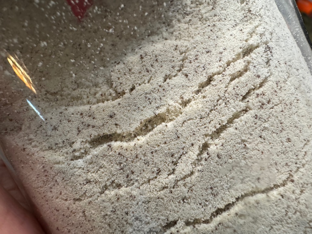 全体のレビュー画像 | 3-0