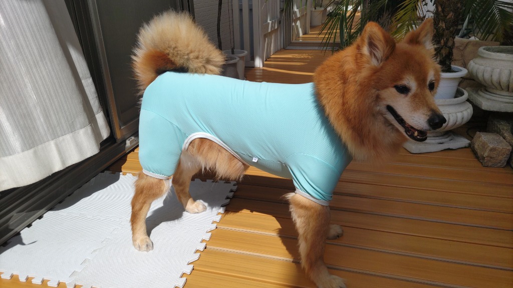 レビュー画像