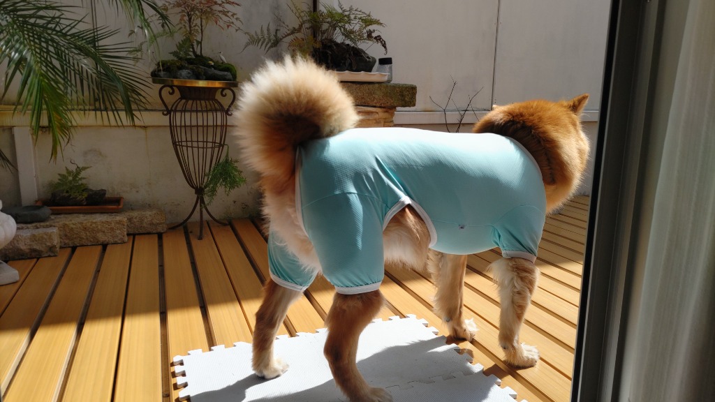 レビュー画像