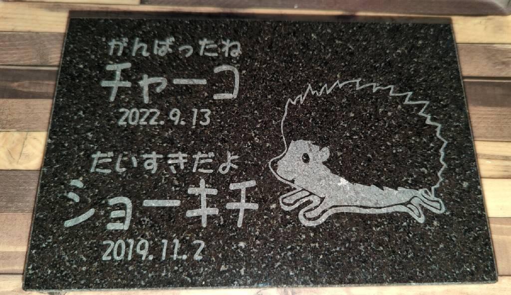 5件目のレビュー画像 | 0