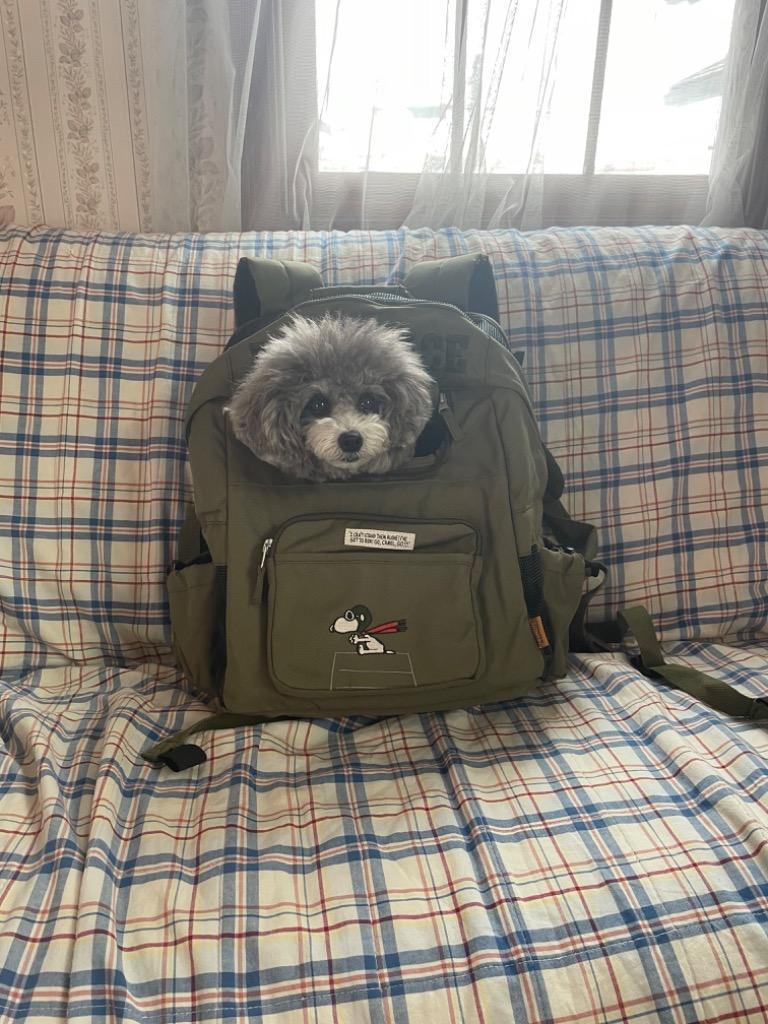 SNOOPY 犬 キャリーバッグ リュック 底板付き スヌーピー