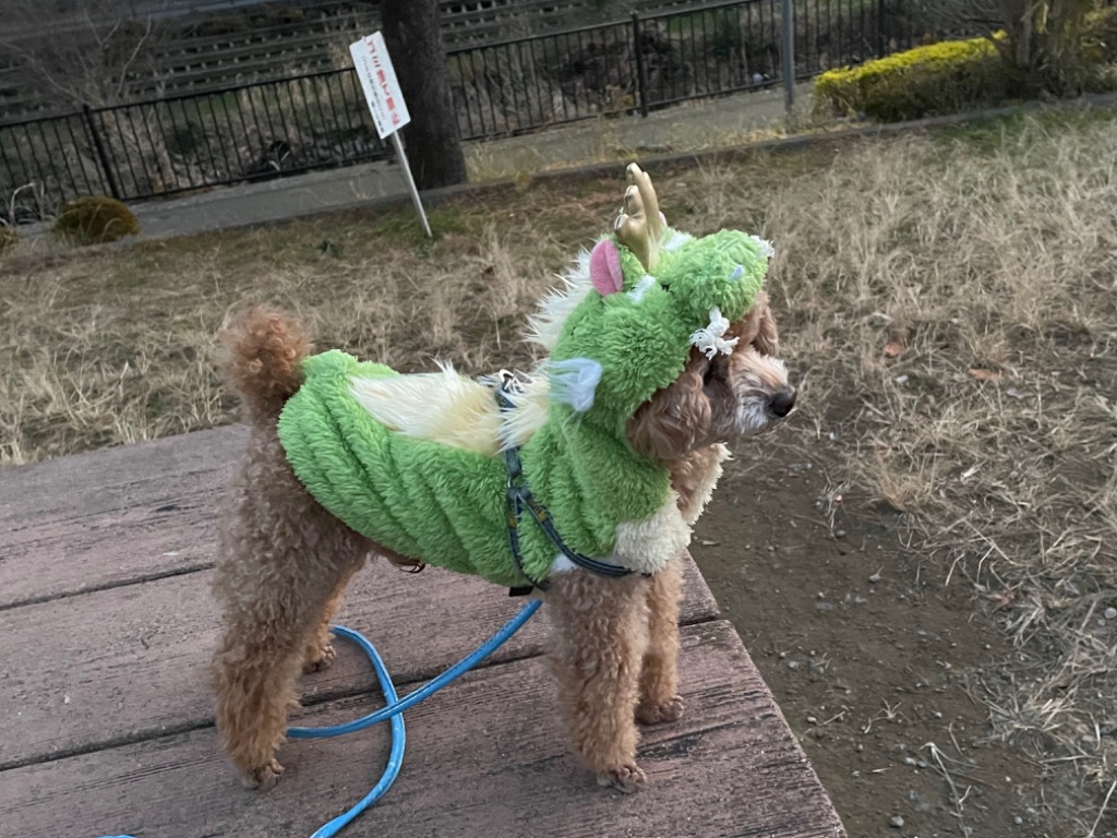 2018年干支ジップパーカー 狼×犬　ゴールド　Mサイズ 2018年干支ジップパーカー 狼×犬 ゴールド Mサイズ