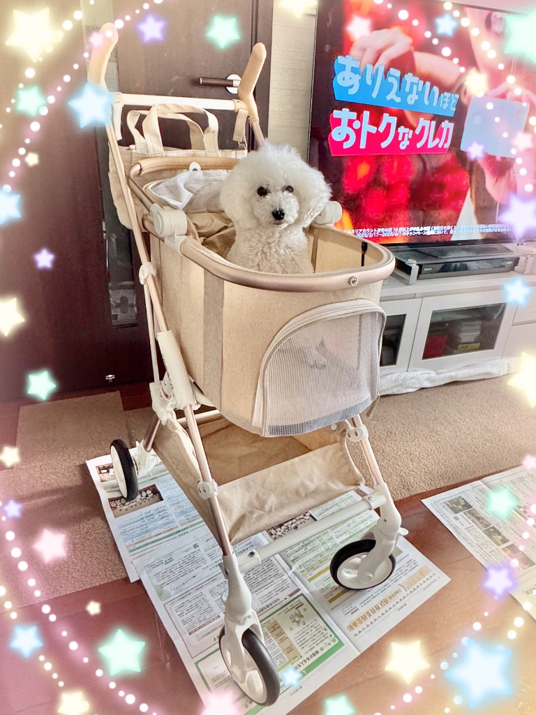 PET PARADISE 【P10倍】犬 ペットカート バギー smooca mini PET PARADISE 【P10倍】犬 ペットカート バギー smooca mini
