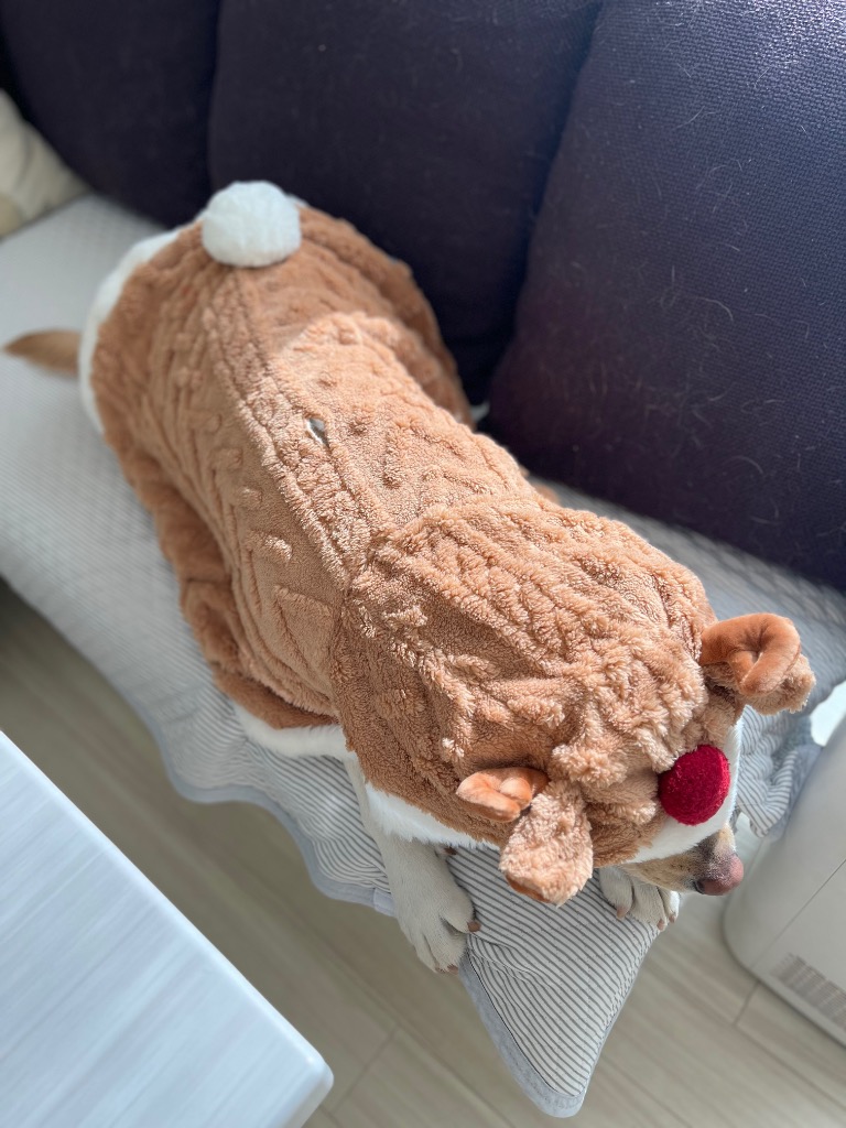 レビュー画像