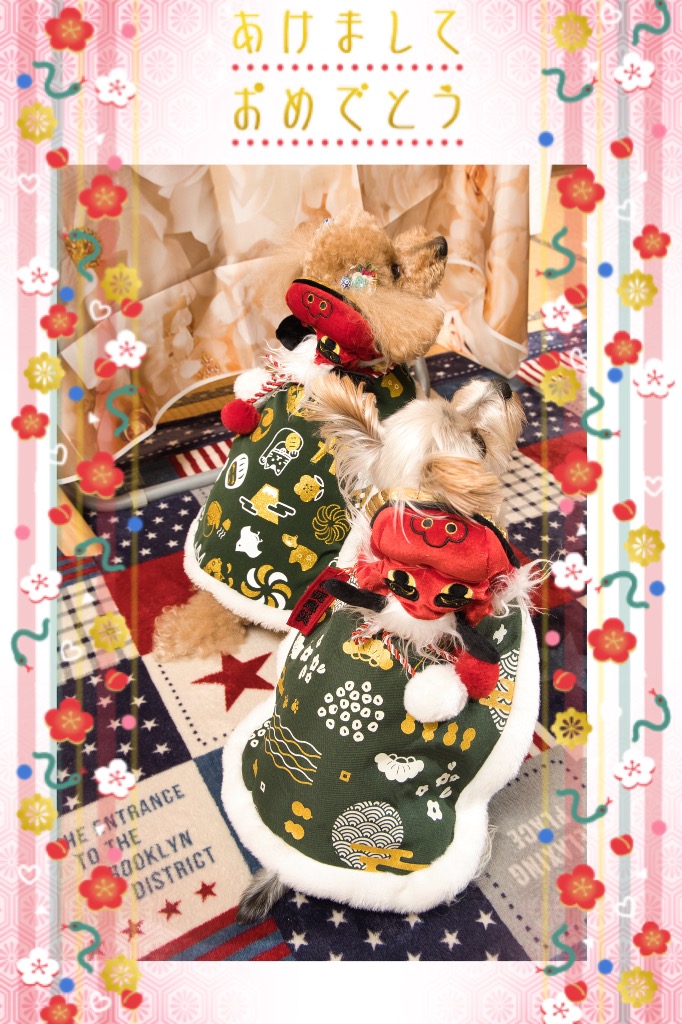 PET PARADISE 犬 服 秋 獅子舞 なりきり コート リード穴 面