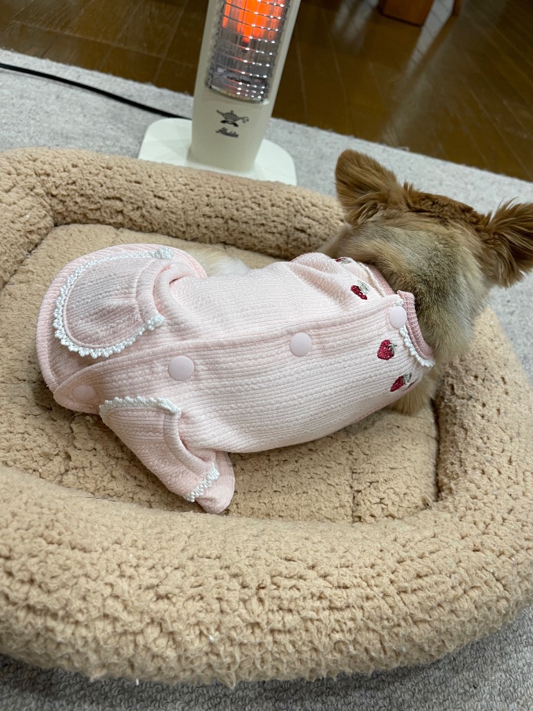 ブラックアンドホワイト犬刺繍リバーシブルベスト Amazon.co.jp: ザ・ブラックラブカンパニー BIGブリード刺繍