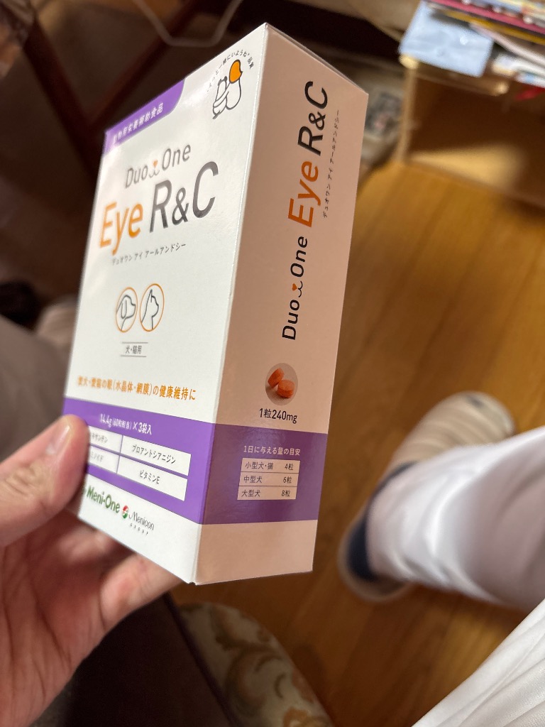 お届け先関東・関西・東海地区限定/2個セット「Duo One Eye R&C