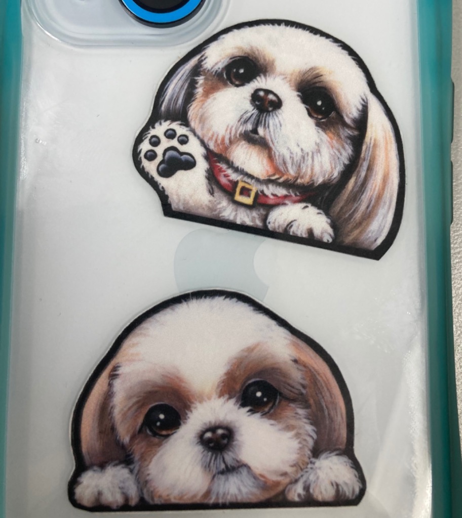 かわいい♡シーズー、ポメ、ダックスちゃんオーダー受付ページ