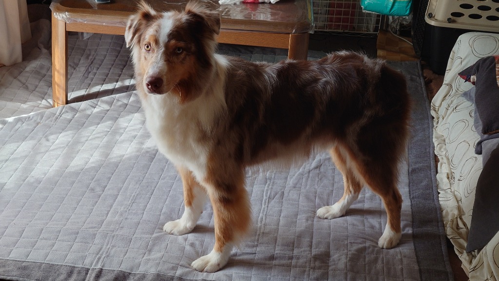 1件目のレビュー画像 | 0