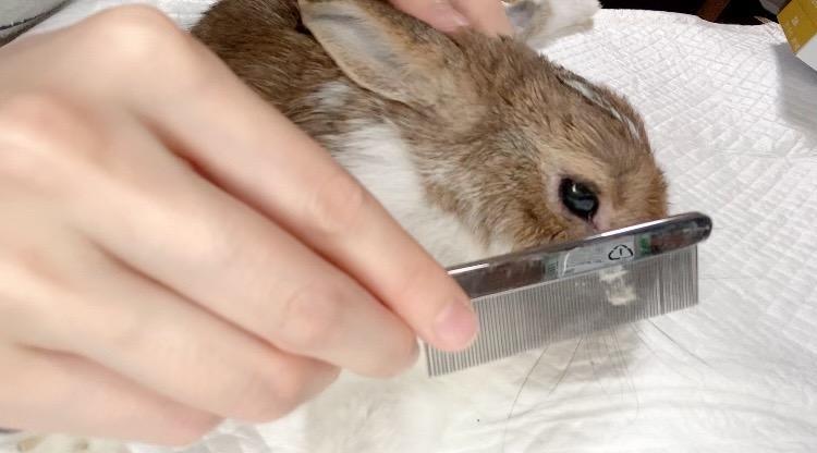 1件目のレビュー画像 | 0