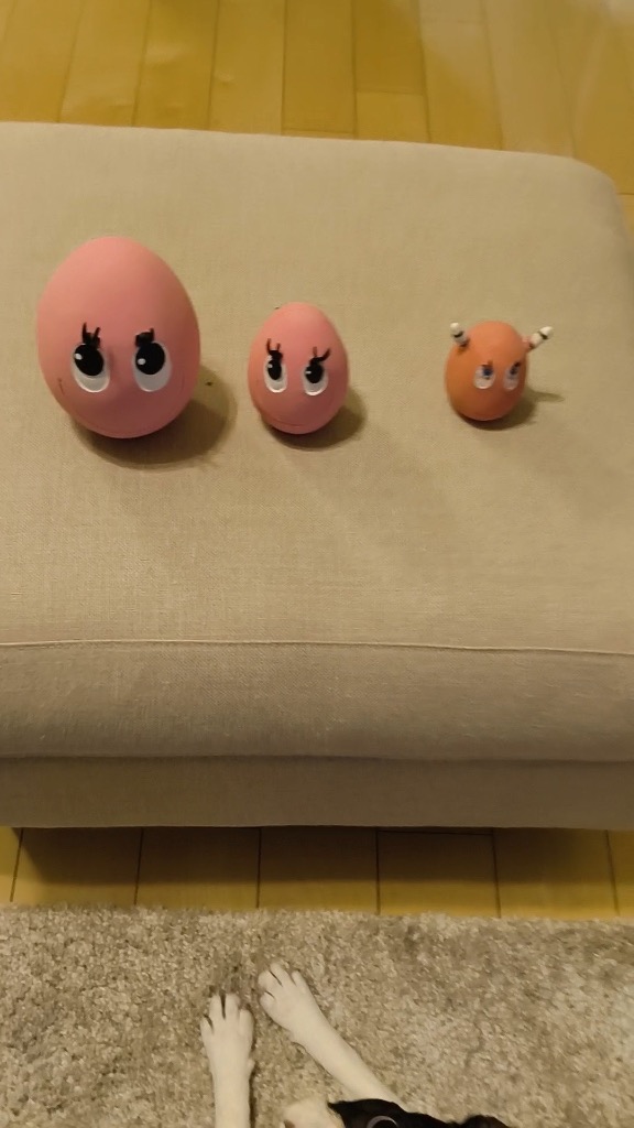 1件目のレビュー画像 | 0