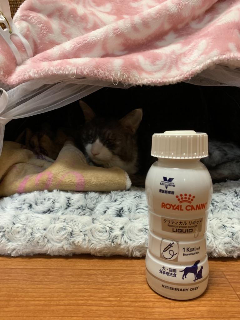 ロイヤルカナン 食事療法食 犬猫用 クリティカル リキッド 200mL×3本 :3182550858755:ペットゴー 2号館 ヤフー店 - 通販 -  Yahoo!ショッピング