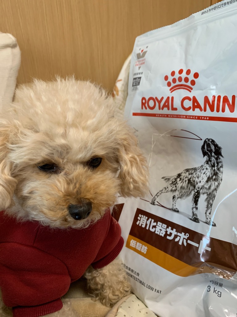 ロイヤルカナン 食事療法食 犬用 消化器サポート 低脂肪 ドライ