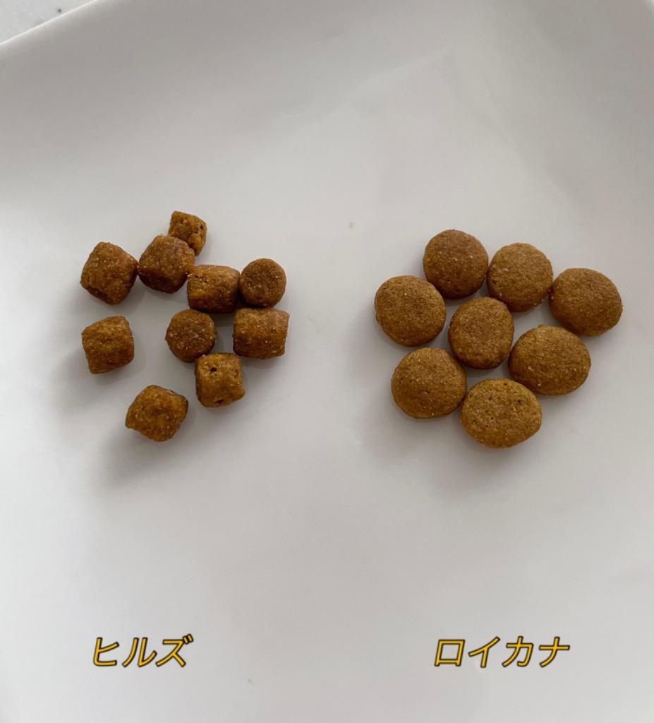 GINGER掲載商品】 ヒルズ 腸内バイオーム 猫 500g zlote-arkady.pl