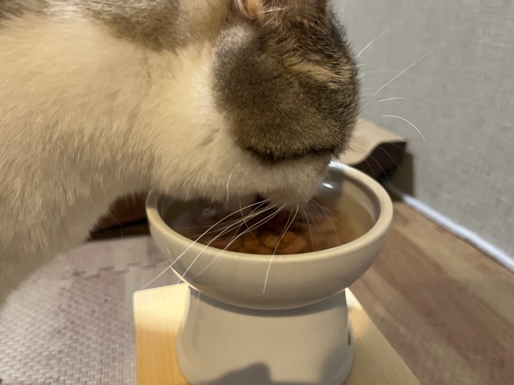 ヒルズ 食事療法食 猫用 c/d シーディー マルチケア 尿ケア