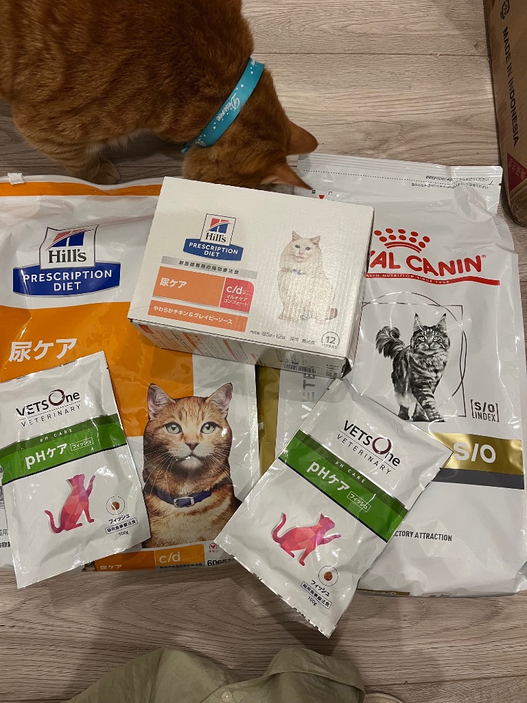 ヒルズ猫用　c/d シーディー 尿ケアマルチケア チキン　4キロ×1袋 特価品 楽天市場】ヒルズ 猫用 k/d 早期アシスト チキン 腎臓ケア 2kg