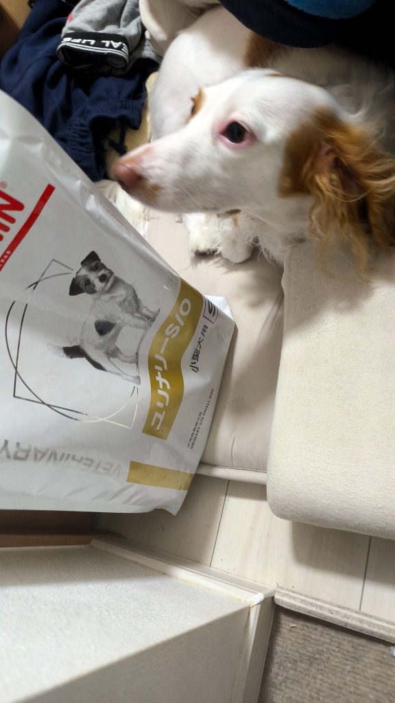  CANIN ユニナリー S/O 小型犬用2袋セット ロイヤルカナン 【2袋セット】ロイヤルカナン 食事療法食 犬用