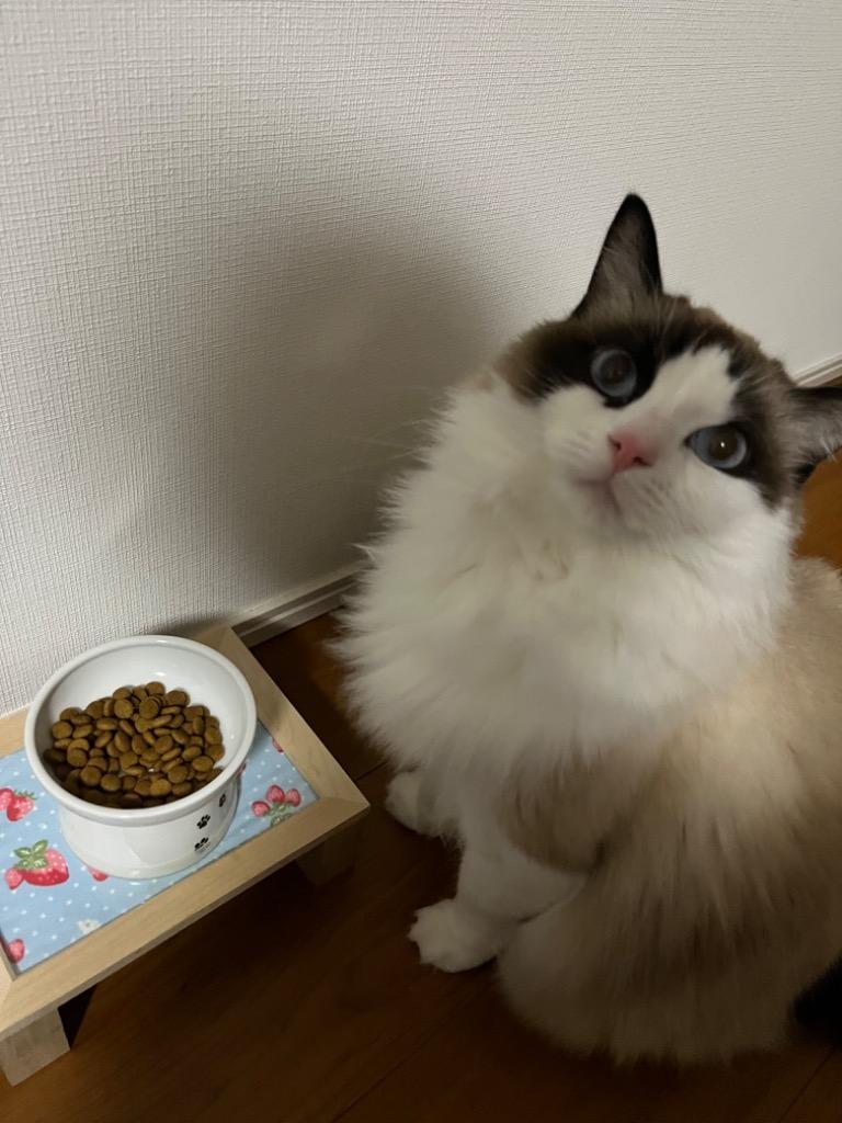 8件目のレビュー画像 | 0