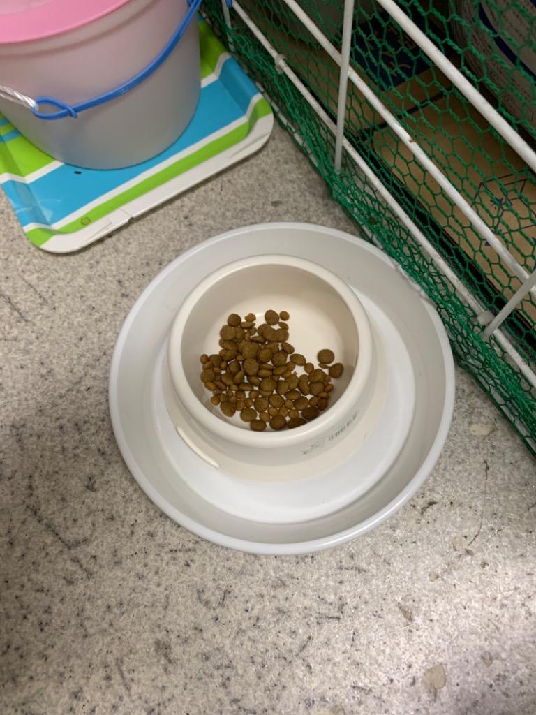 ロイヤルカナン 【2袋セット】ロイヤルカナン 食事療法食 猫用 ロイヤルカナン 【2袋セット】ロイヤルカナン 食事療法食 猫用