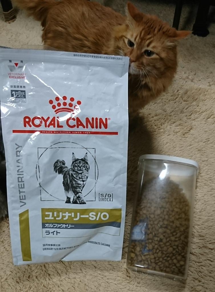2袋セット】ロイヤルカナン 食事療法食 猫用 ユリナリーS/O オル 