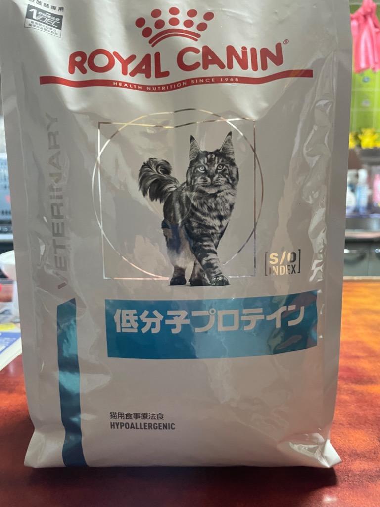 ロイヤルカナン 食事療法食 猫用 低分子プロテイン ドライ 2kg